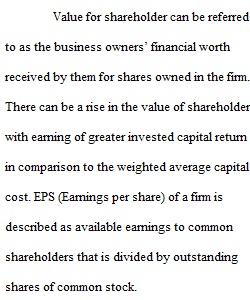 Financial Analysis_Maximizing Shareholder Value Essay